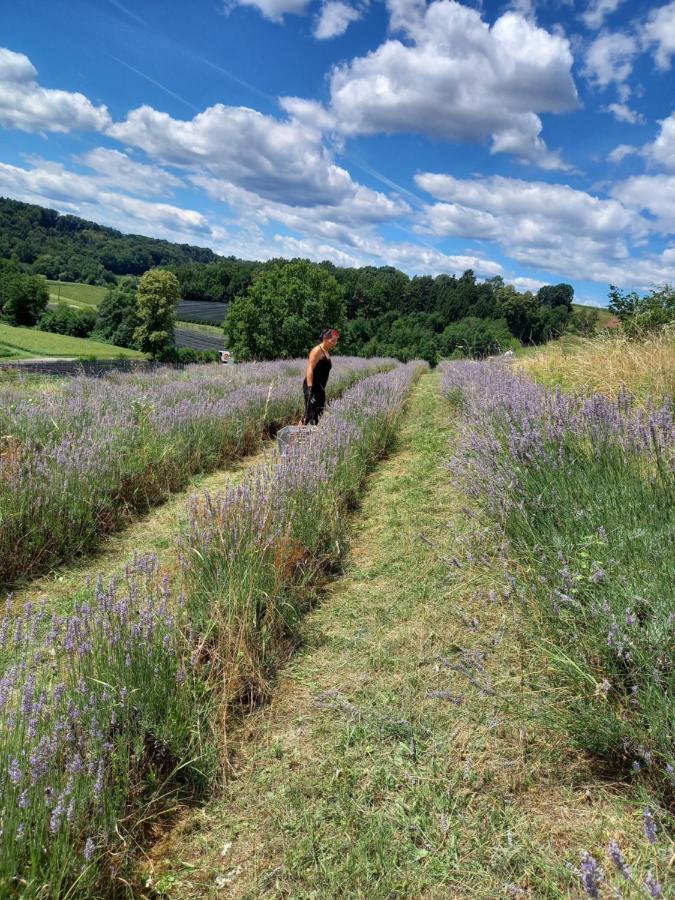 Herzhof Lampert รีเกิร์สบวร์ก ภายนอก รูปภาพ