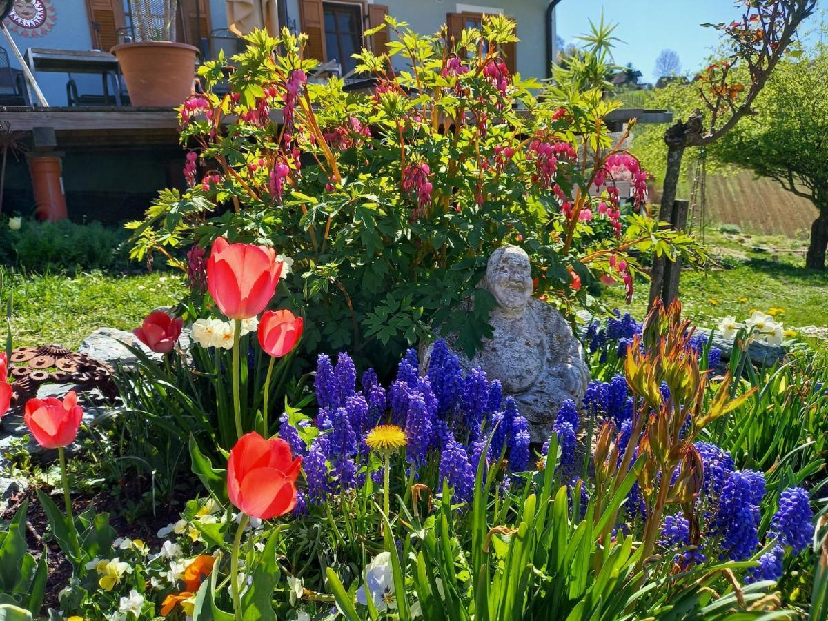Herzhof Lampert รีเกิร์สบวร์ก ภายนอก รูปภาพ