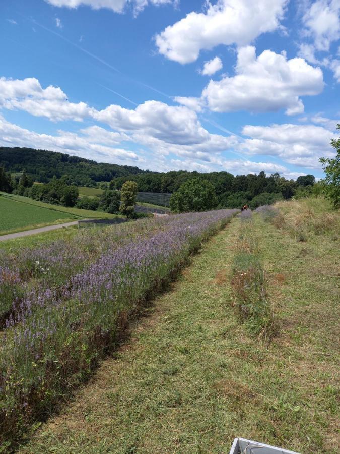 Herzhof Lampert รีเกิร์สบวร์ก ภายนอก รูปภาพ
